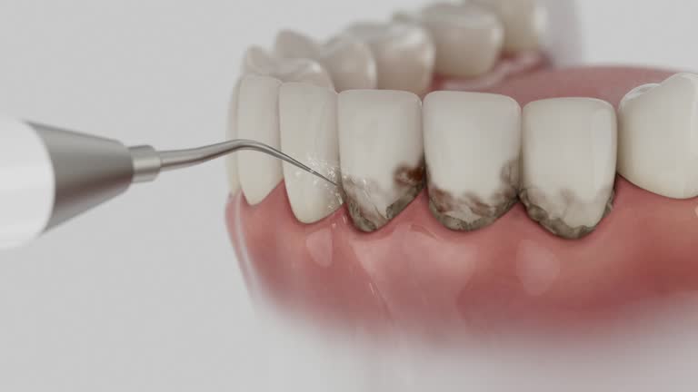 Reliable Dental contractor in Leonia, NJ by Dentist Open Now